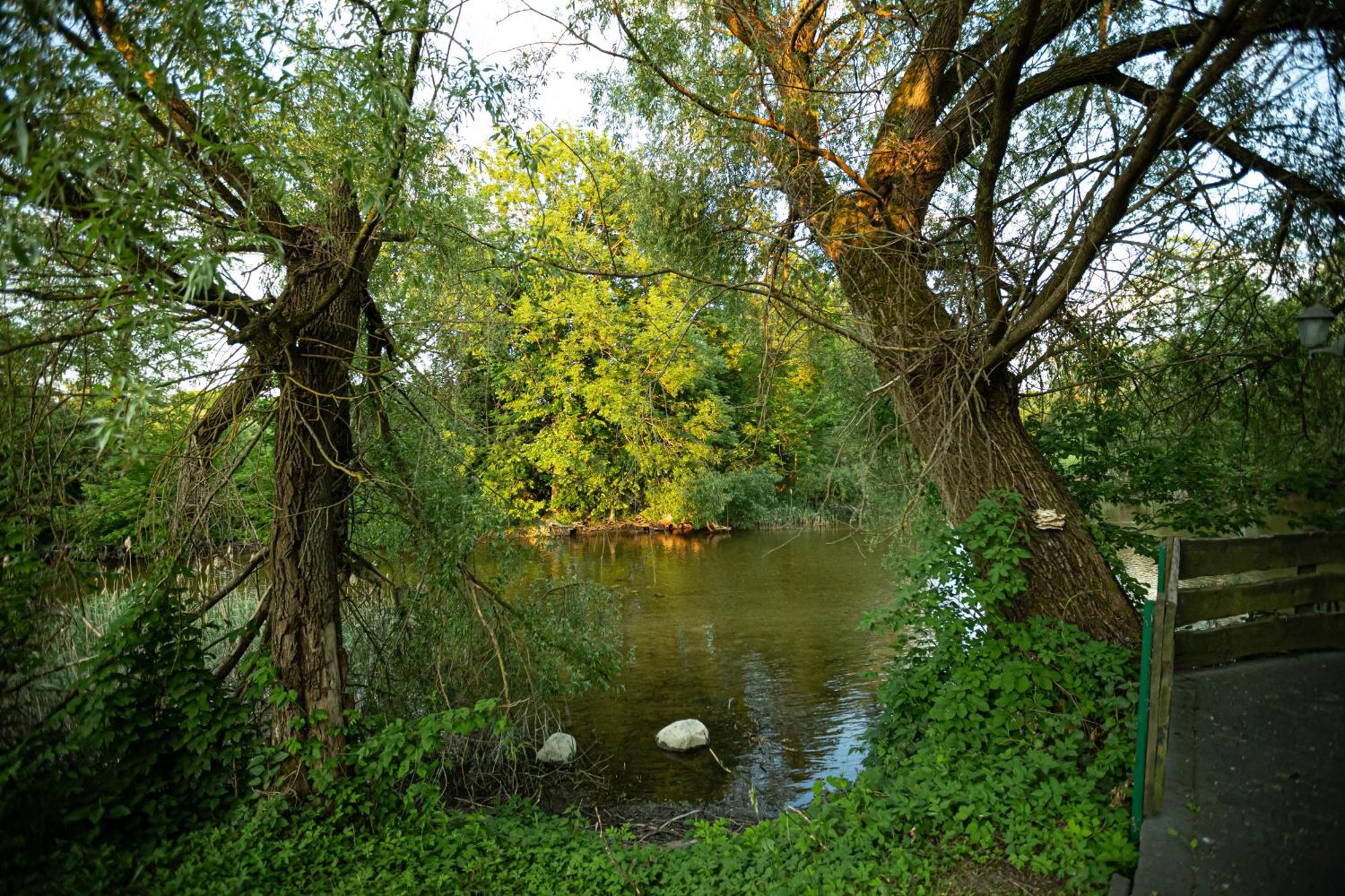Zakatek River Rajgród エクステリア 写真